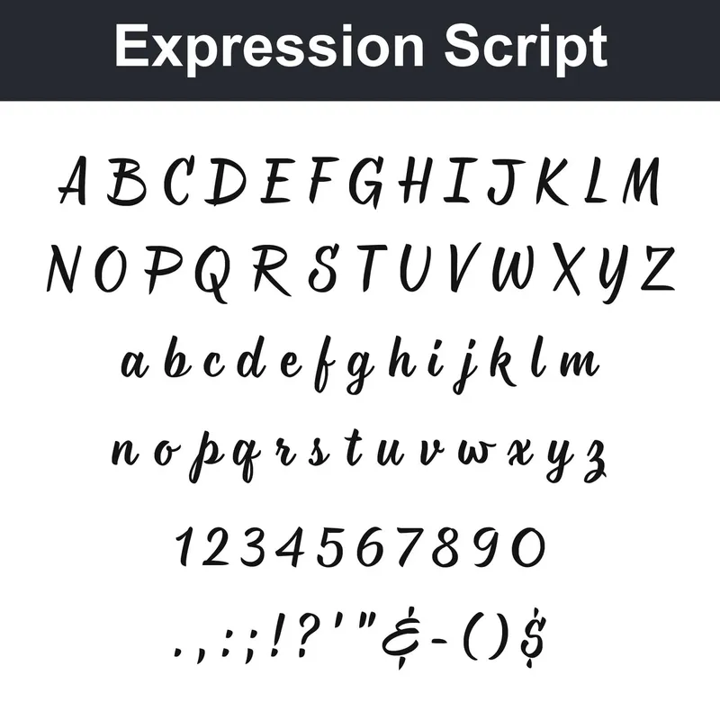 Expression Script character chart