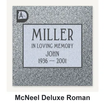 McNeel Deluxe Roman carved in granite