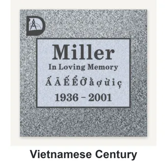 Vietnamese Century carved in granite