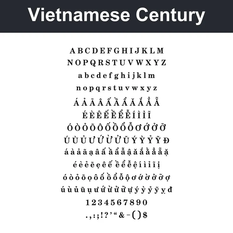 Vietnamese Century character chart