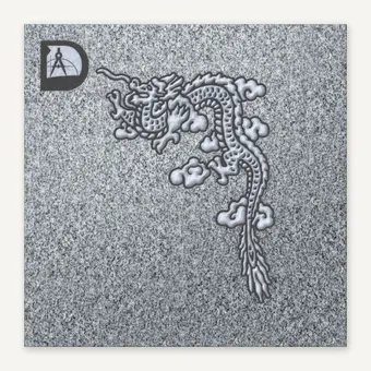 Dragon 20