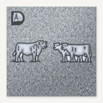 BULL & COWS