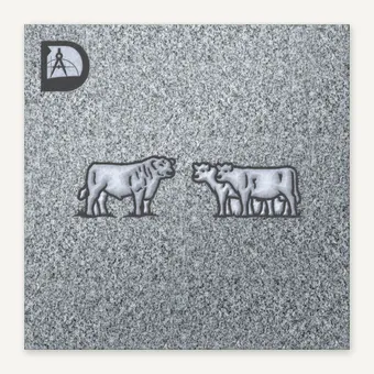 BULL & COWS