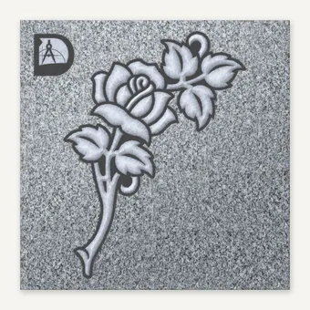 Rose 529