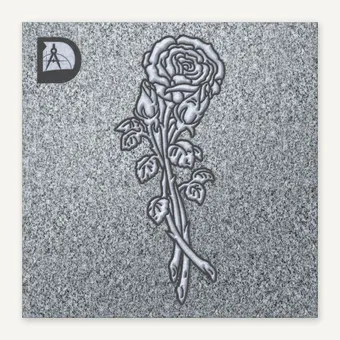 Rose 534