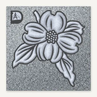 Dogwood-184