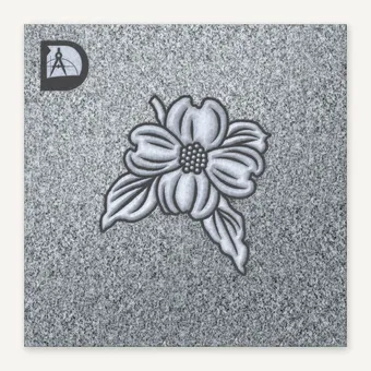 Dogwood-184