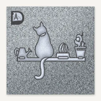 Cat sitting on a shelf