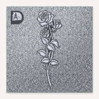 ROSE 579