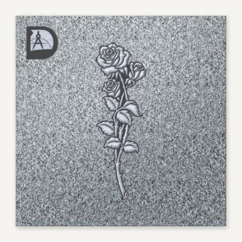 ROSE 579