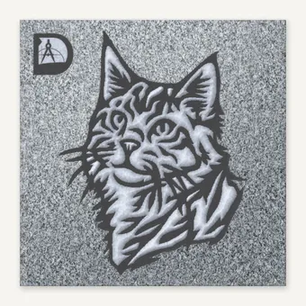 CAT 63 MAINE COON