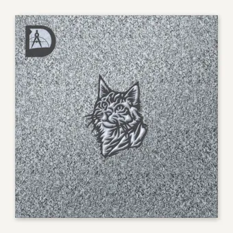 CAT 63 MAINE COON