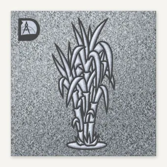 Sugar Cane 2