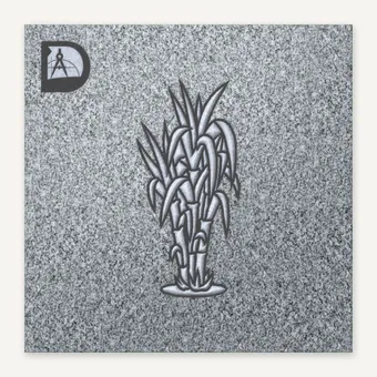 Sugar Cane 2