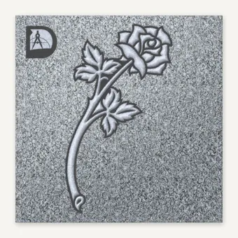 Rose 589