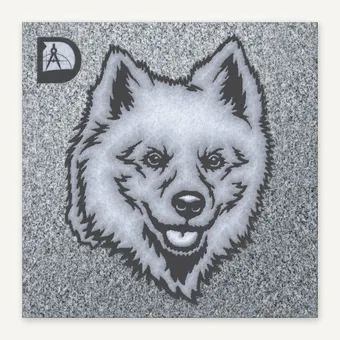 American Eskimo Dog 2