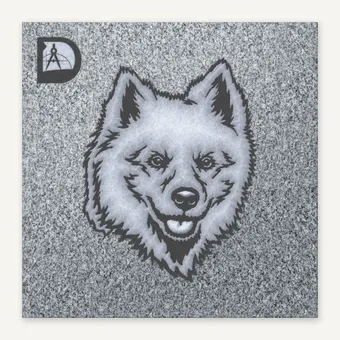 American Eskimo Dog 2