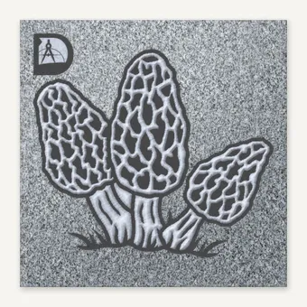 Mushrooms 4
