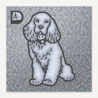 Cocker Spaniel 8