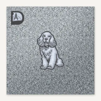Cocker Spaniel 8