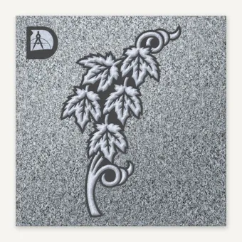 Boston Ivy 2