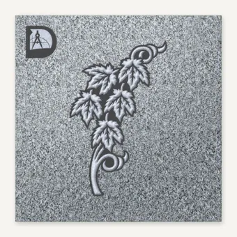Boston Ivy 2