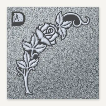 Rose 638