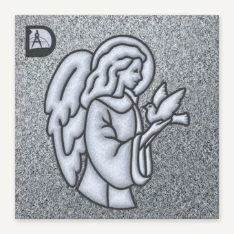 Angel 3-6