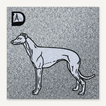 Greyhound