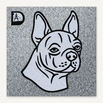 Boston Terrier 2