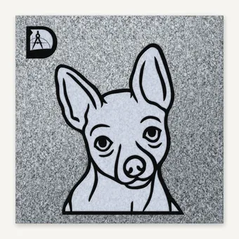Chihuahua 12
